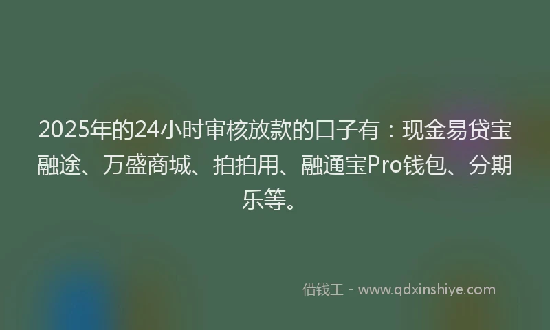 2025年的24小时审核放款的口子有：现金易贷宝融途、万盛商城、拍拍用、融通宝Pro钱包、分期乐等。