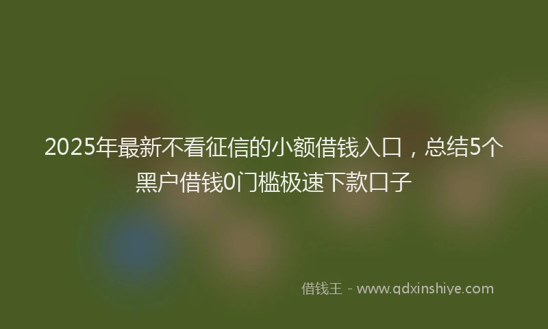 2025年最新不看征信的小额借钱入口，总结5个黑户借钱0门槛极速下款口子