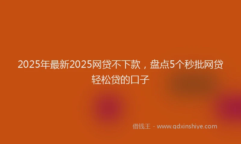 2025年最新2025网贷不下款，盘点5个秒批网贷轻松贷的口子