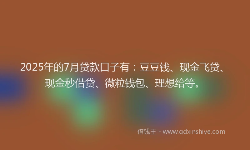 2025年的7月贷款口子有：豆豆钱、现金飞贷、现金秒借贷、微粒钱包、理想给等。