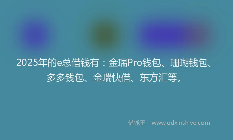 2025年的e总借钱有：金瑞Pro钱包、珊瑚钱包、多多钱包、金瑞快借、东方汇等。
