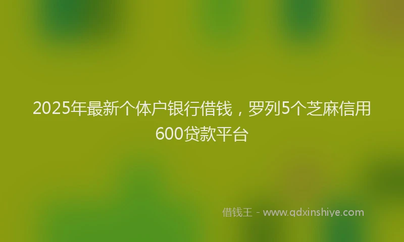 2025年最新个体户银行借钱，罗列5个芝麻信用600贷款平台