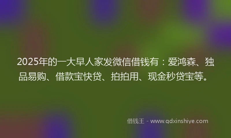 2025年的一大早人家发微信借钱有:爱鸿森、独品易购、借款宝快贷、拍拍用、现金秒贷宝等。