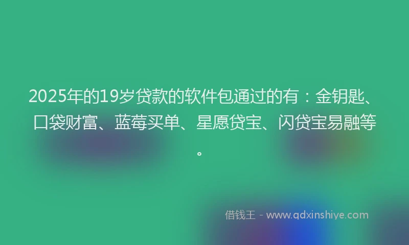 2025年的19岁贷款的软件包通过的有：金钥匙、口袋财富、蓝莓买单、星愿贷宝、闪贷宝易融等。
