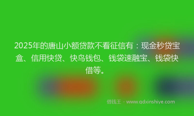 2025年的唐山小额贷款不看征信有：现金秒贷宝盒、信用快贷、快鸟钱包、钱袋速融宝、钱袋快借等。