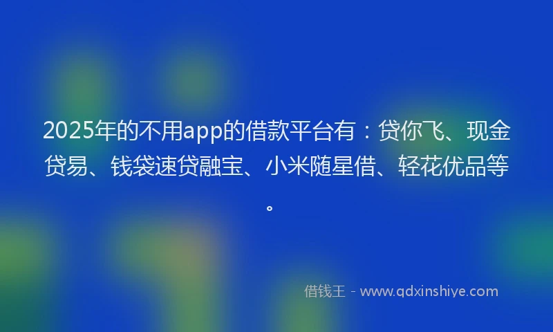 2025年的不用app的借款平台有：贷你飞、现金贷易、钱袋速贷融宝、小米随星借、轻花优品等。
