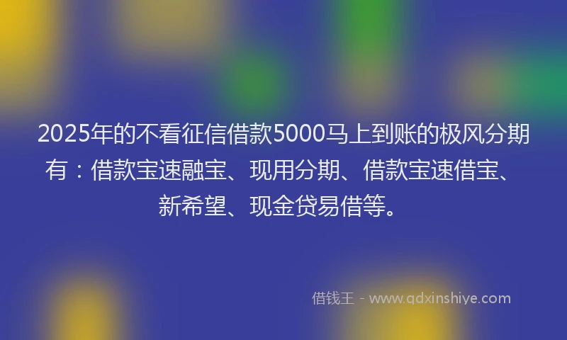 2025年的不看征信借款5000马上到账的极风分期有：借款宝速融宝、现用分期、借款宝速借宝、新希望、现金贷易借等。