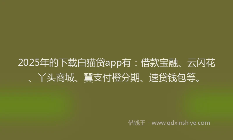 2025年的下载白猫贷app有：借款宝融、云闪花、丫头商城、翼支付橙分期、速贷钱包等。