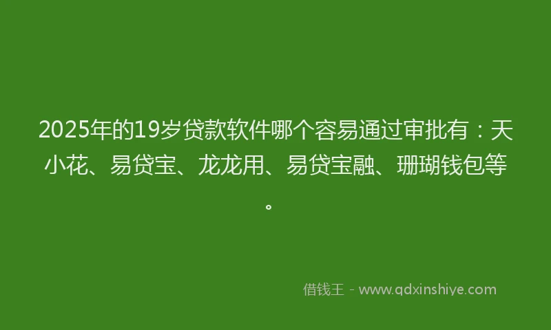 2025年的19岁贷款软件哪个容易通过审批有：天小花、易贷宝、龙龙用、易贷宝融、珊瑚钱包等。