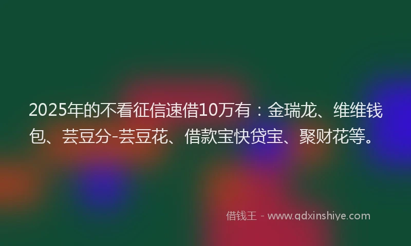 2025年的不看征信速借10万有：金瑞龙、维维钱包、芸豆分-芸豆花、借款宝快贷宝、聚财花等。