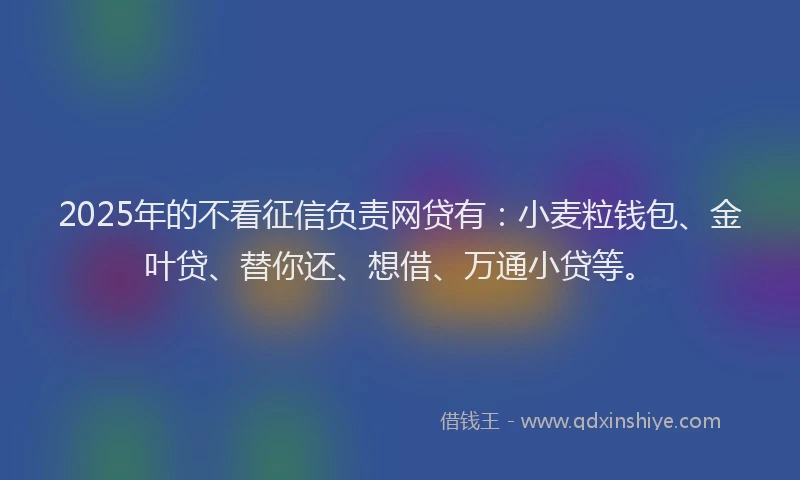 2025年的不看征信负责网贷有：小麦粒钱包、金叶贷、替你还、想借、万通小贷等。