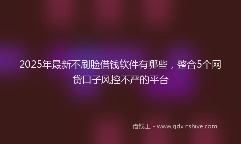 2025年最新不刷脸借钱软件有哪些，整合5个网贷口子风控不严的平台