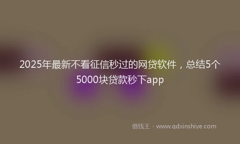 2025年最新不看征信秒过的网贷软件，总结5个5000块贷款秒下app