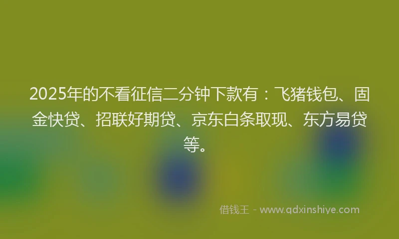 2025年的不看征信二分钟下款有：飞猪钱包、固金快贷、招联好期贷、京东白条取现、东方易贷等。