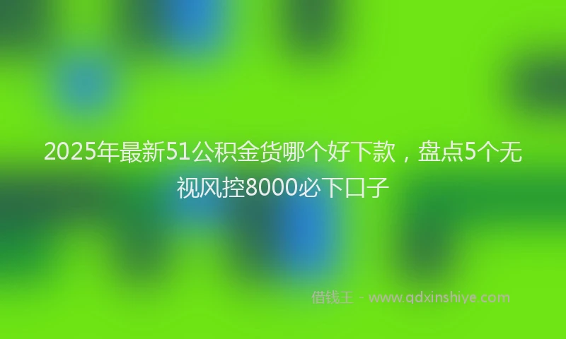 2025年最新51公积金货哪个好下款，盘点5个无视风控8000必下口子