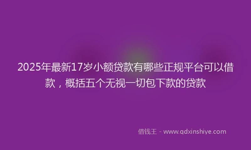 2025年最新17岁小额贷款有哪些正规平台可以借款，概括五个无视一切包下款的贷款