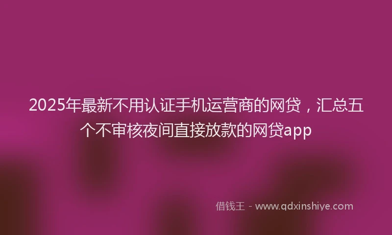 2025年最新不用认证手机运营商的网贷，汇总五个不审核夜间直接放款的网贷app