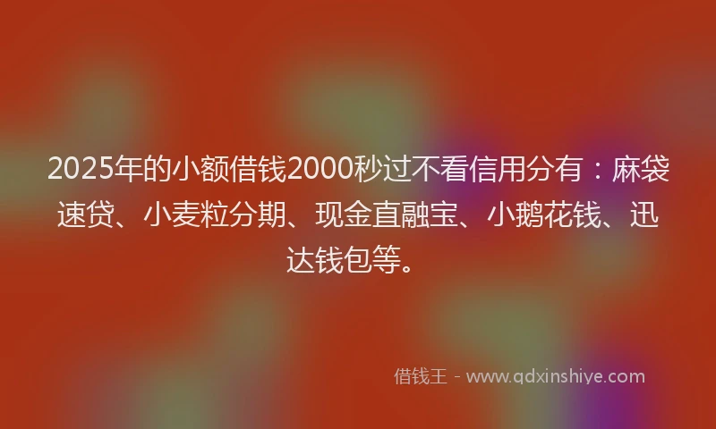 2025年的小额借钱2000秒过不看信用分有：麻袋速贷、小麦粒分期、现金直融宝、小鹅花钱、迅达钱包等。