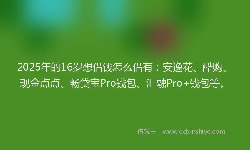 2025年的16岁想借钱怎么借有：安逸花、酷购、现金点点、畅贷宝Pro钱包、汇融Pro+钱包等。