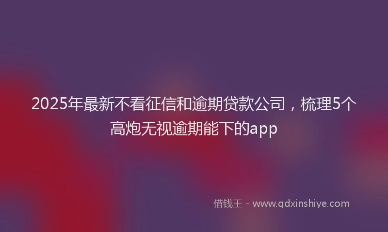 2025年最新不看征信和逾期贷款公司，梳理5个高炮无视逾期能下的app