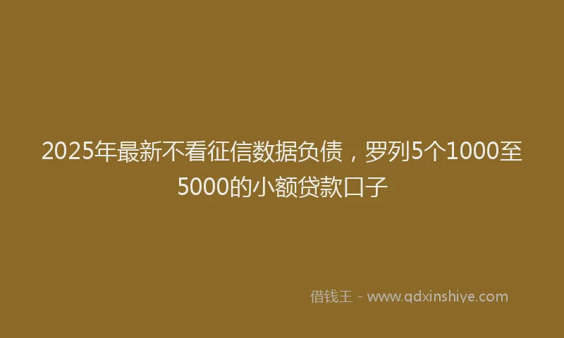 2025年最新不看征信数据负债，罗列5个1000至5000的小额贷款口子