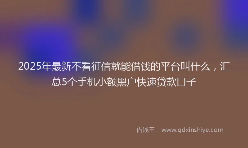 2025年最新不看征信就能借钱的平台叫什么，汇总5个手机小额黑户快速贷款口子