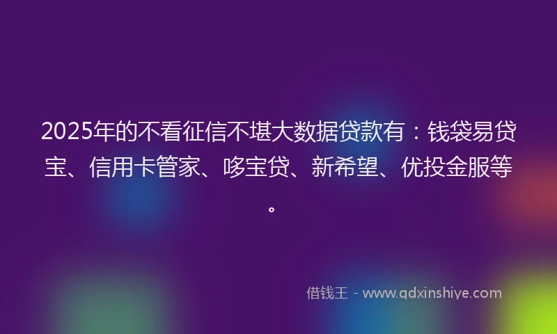 2025年的不看征信不堪大数据贷款有：钱袋易贷宝、信用卡管家、哆宝贷、新希望、优投金服等。