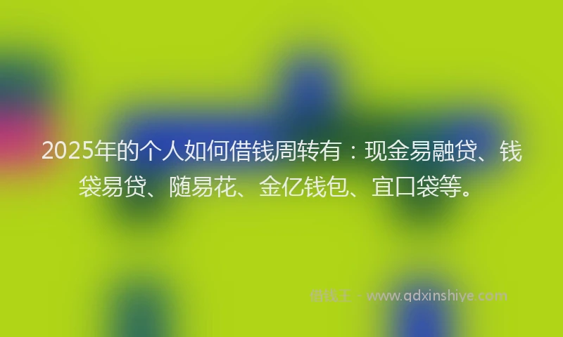 2025年的个人如何借钱周转有：现金易融贷、钱袋易贷、随易花、金亿钱包、宜口袋等。