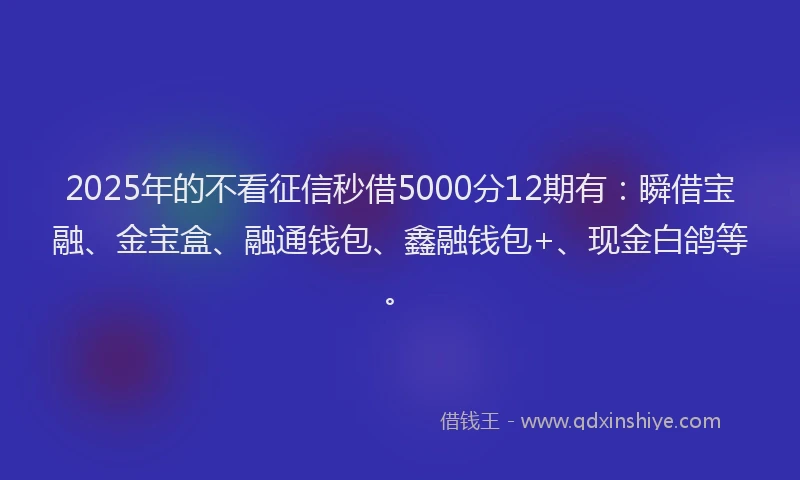 2025年的不看征信秒借5000分12期有：瞬借宝融、金宝盒、融通钱包、鑫融钱包+、现金白鸽等。