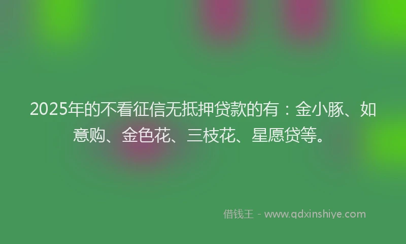 2025年的不看征信无抵押贷款的有：金小豚、如意购、金色花、三枝花、星愿贷等。