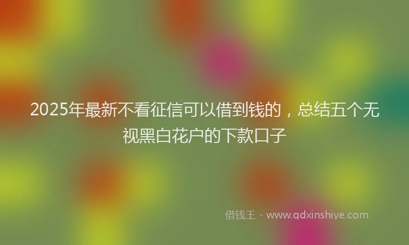 2025年最新不看征信可以借到钱的，总结五个无视黑白花户的下款口子