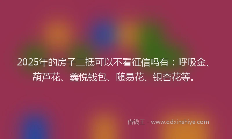 2025年的房子二抵可以不看征信吗有：呼吸金、葫芦花、鑫悦钱包、随易花、银杏花等。