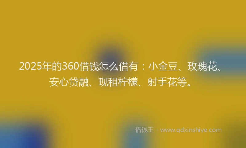 2025年的360借钱怎么借有：小金豆、玫瑰花、安心贷融、现租柠檬、射手花等。