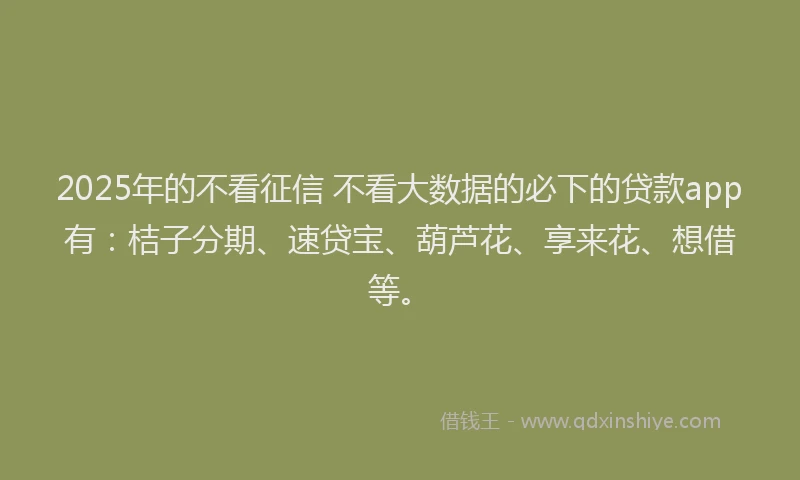 2025年的不看征信 不看大数据的必下的贷款app有：桔子分期、速贷宝、葫芦花、享来花、想借等。