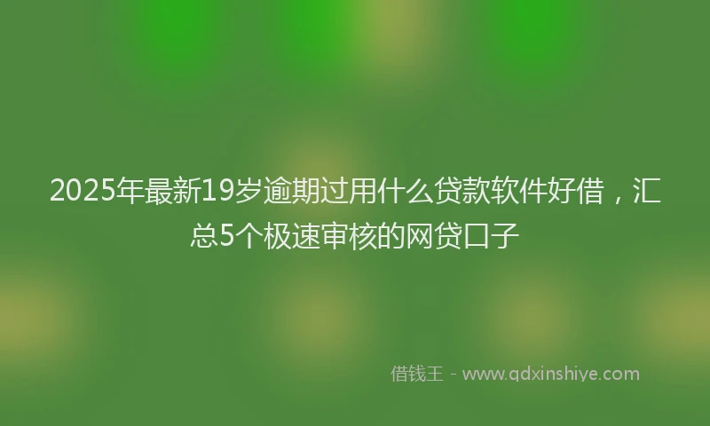 2025年最新19岁逾期过用什么贷款软件好借，汇总5个极速审核的网贷口子