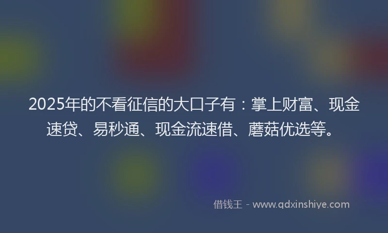 2025年的不看征信的大口子有：掌上财富、现金速贷、易秒通、现金流速借、蘑菇优选等。