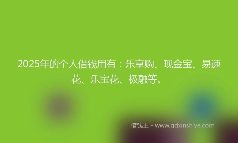 2025年的个人借钱用有：乐享购、现金宝、易速花、乐宝花、极融等。