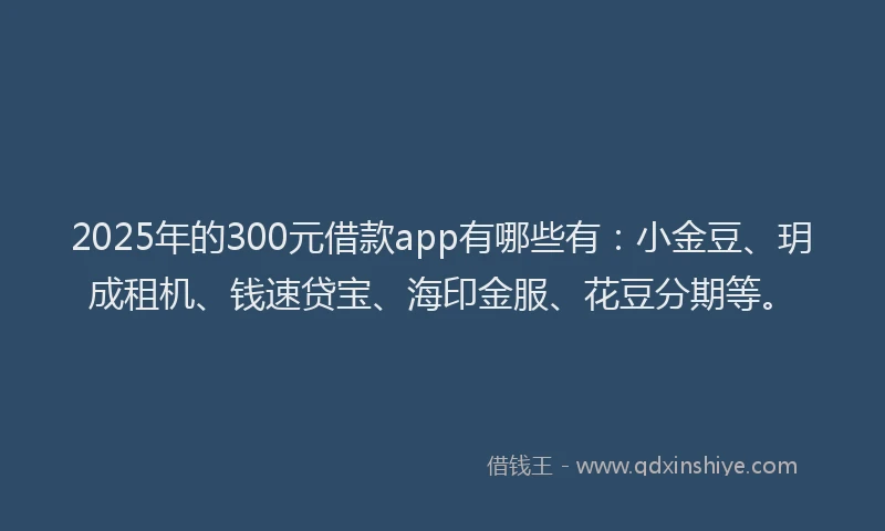 2025年的300元借款app有哪些有：小金豆、玥成租机、钱速贷宝、海印金服、花豆分期等。