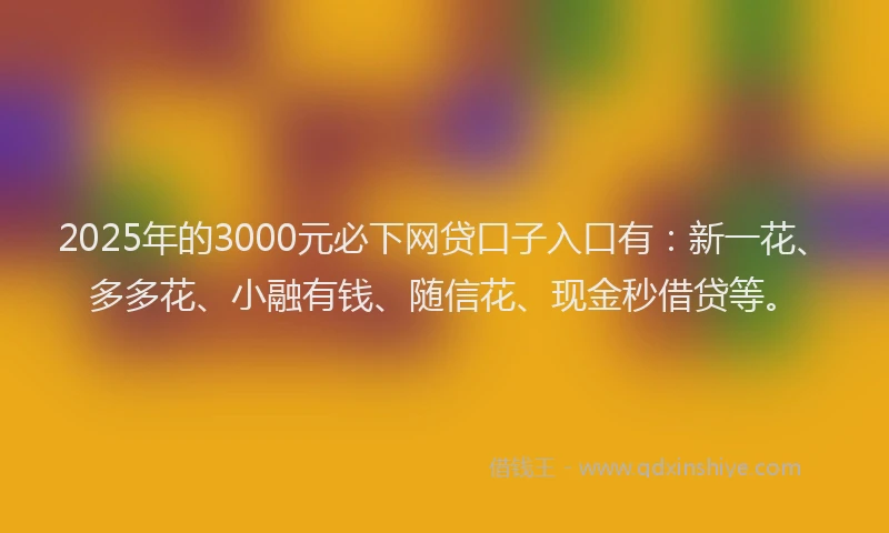 2025年的3000元必下网贷口子入口有：新一花、多多花、小融有钱、随信花、现金秒借贷等。