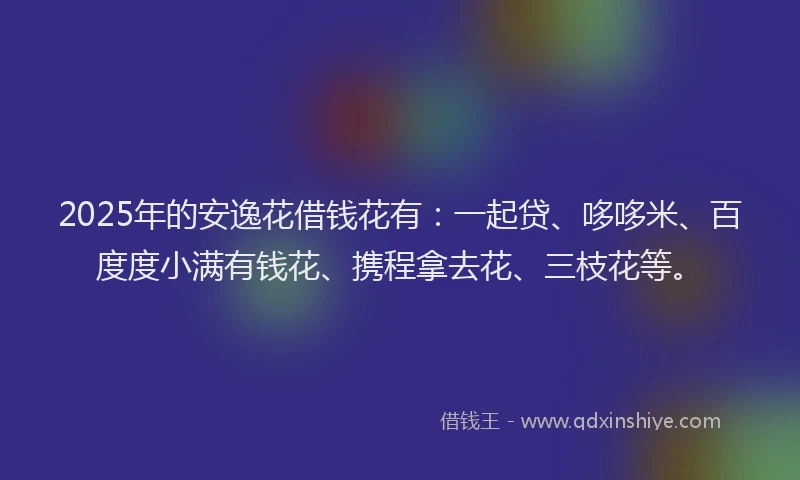 2025年的安逸花借钱花有：一起贷、哆哆米、百度度小满有钱花、携程拿去花、三枝花等。