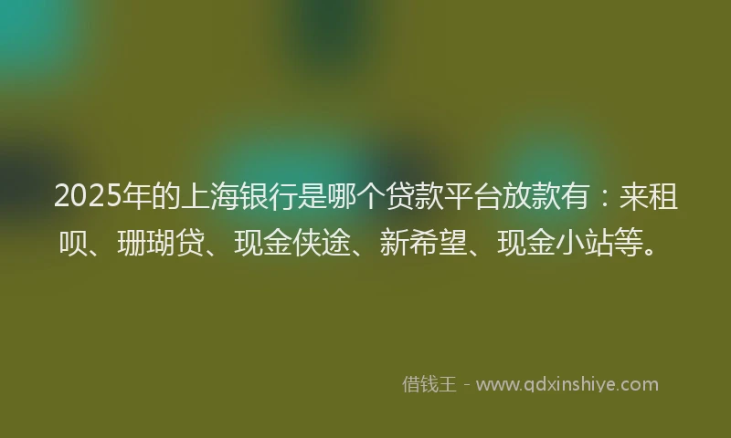 2025年的上海银行是哪个贷款平台放款有：来租呗、珊瑚贷、现金侠途、新希望、现金小站等。