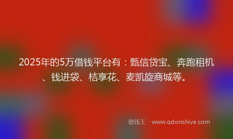2025年的5万借钱平台有：甄信贷宝、奔跑租机、钱进袋、桔享花、麦凯旋商城等。