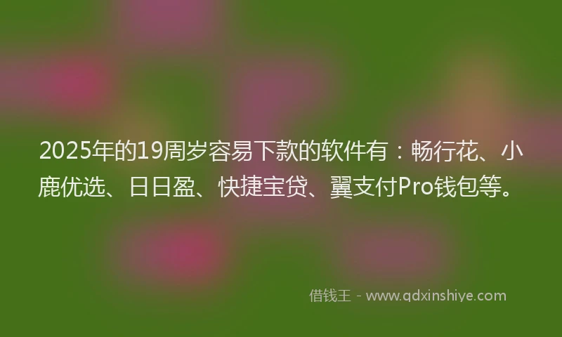 2025年的19周岁容易下款的软件有：畅行花、小鹿优选、日日盈、快捷宝贷、翼支付Pro钱包等。