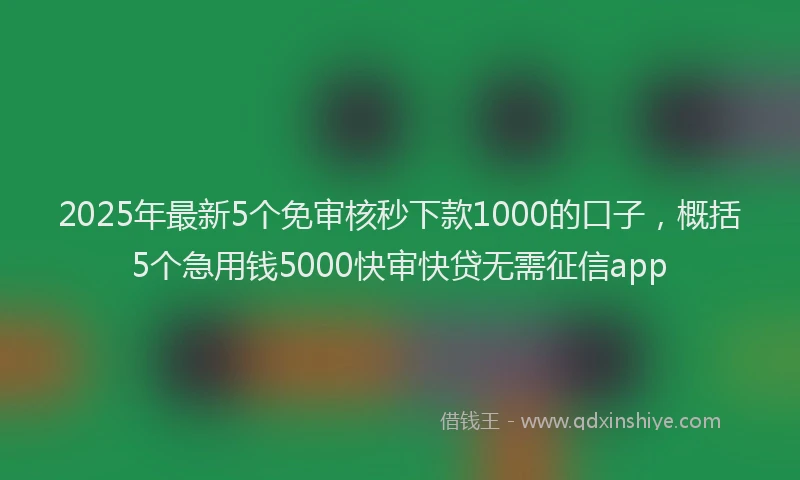 2025年最新5个免审核秒下款1000的口子，概括5个急用钱5000快审快贷无需征信app