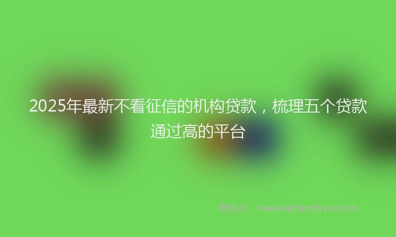 2025年最新不看征信的机构贷款，梳理五个贷款通过高的平台