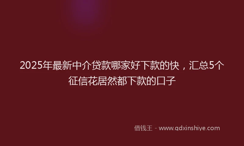 2025年最新中介贷款哪家好下款的快，汇总5个征信花居然都下款的口子