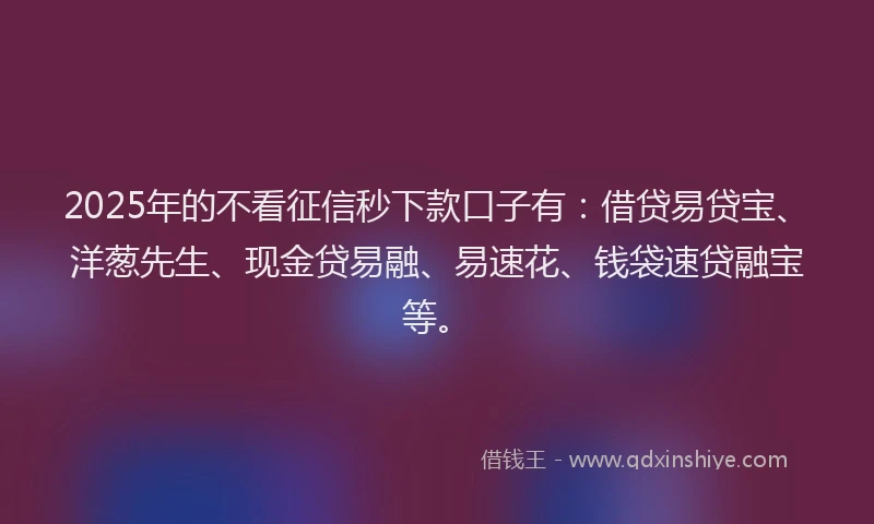 2025年的不看征信秒下款口子有：借贷易贷宝、洋葱先生、现金贷易融、易速花、钱袋速贷融宝等。