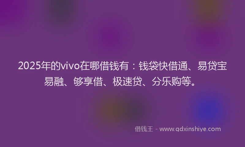2025年的vivo在哪借钱有：钱袋快借通、易贷宝易融、够享借、极速贷、分乐购等。