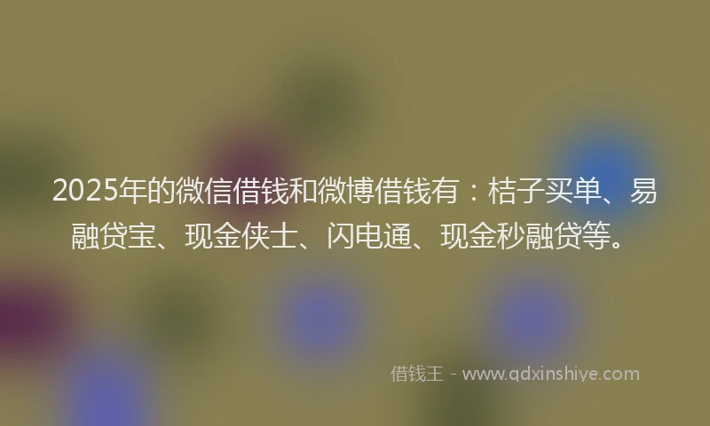 2025年的微信借钱和微博借钱有：桔子买单、易融贷宝、现金侠士、闪电通、现金秒融贷等。