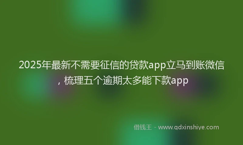 2025年最新不需要征信的贷款app立马到账微信，梳理五个逾期太多能下款app